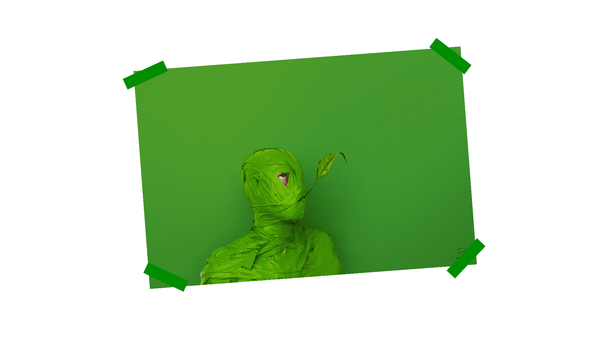 Nouvelle collection 2