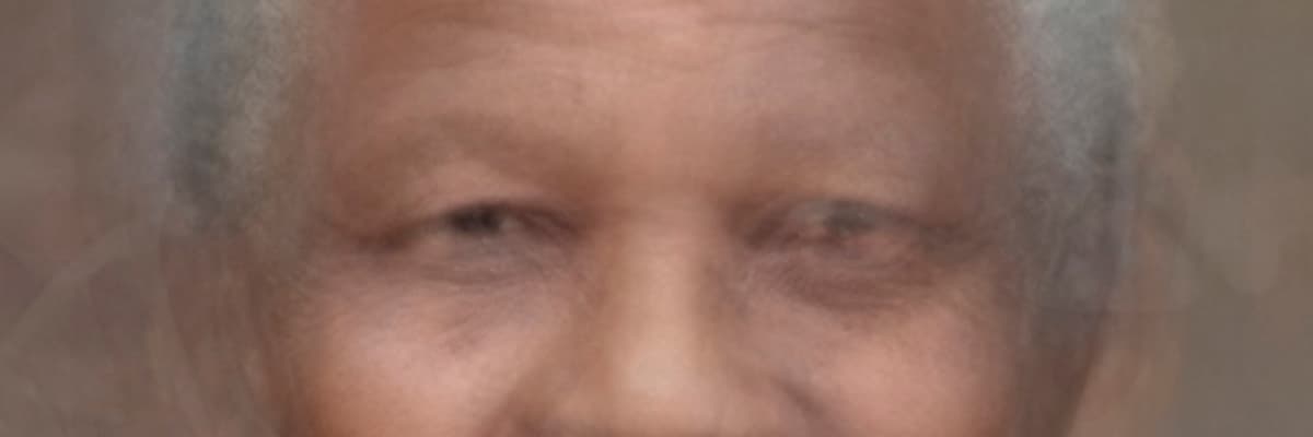 Nelson Mandela - Regard